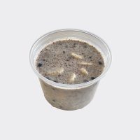 Chia Protein Pudding
