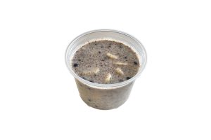 Chia Protein Pudding